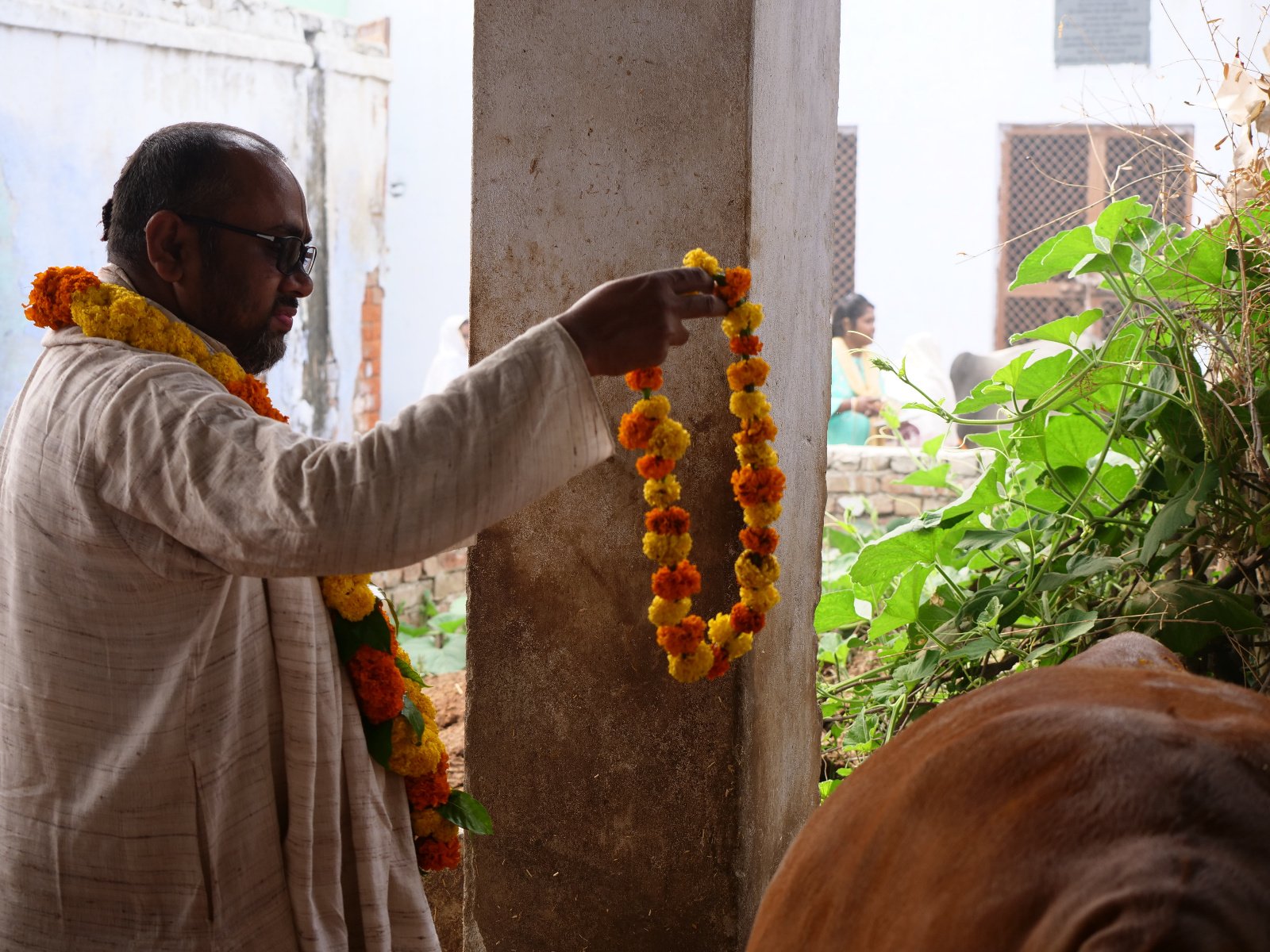  99 Gopashtami Radha kunda Govardhan 19.11.04